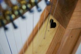 アイリッシュハープスリーピング